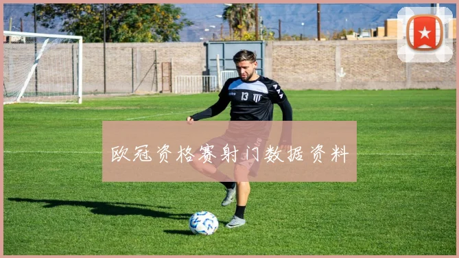 欧冠资格赛射门数据资料