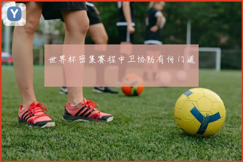 世界杯密集赛程中卫协防有何门道