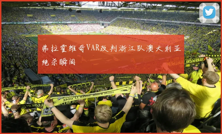 弗拉霍维奇VAR改判浙江队澳大利亚绝杀瞬间
