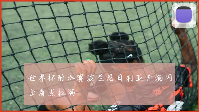 世界杯附加赛波兰尼日利亚开场闪击看点拉满