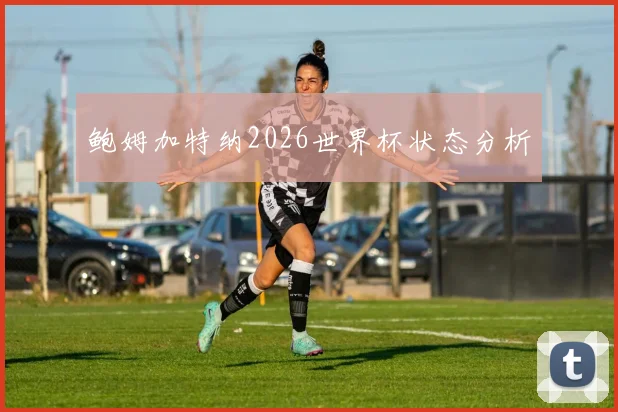 鲍姆加特纳2026世界杯状态分析