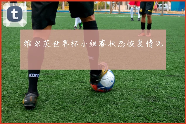 维尔茨世界杯小组赛状态恢复情况