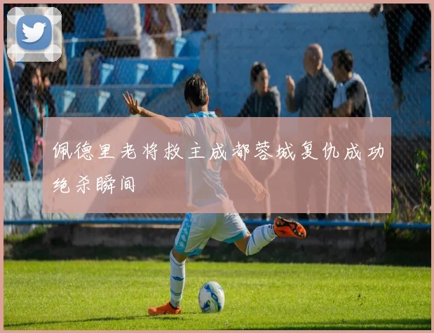 佩德里老将救主成都蓉城复仇成功绝杀瞬间